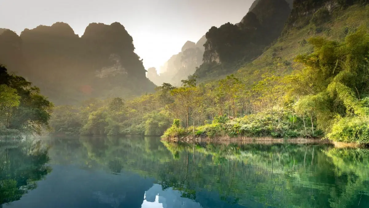 高端智能智能系统